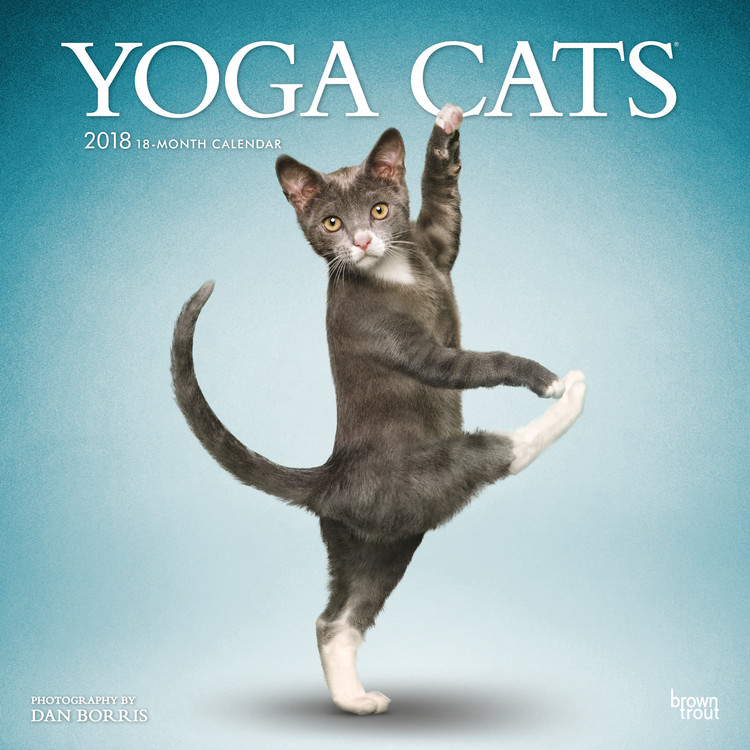 Kalender 2027 Yoga Cats