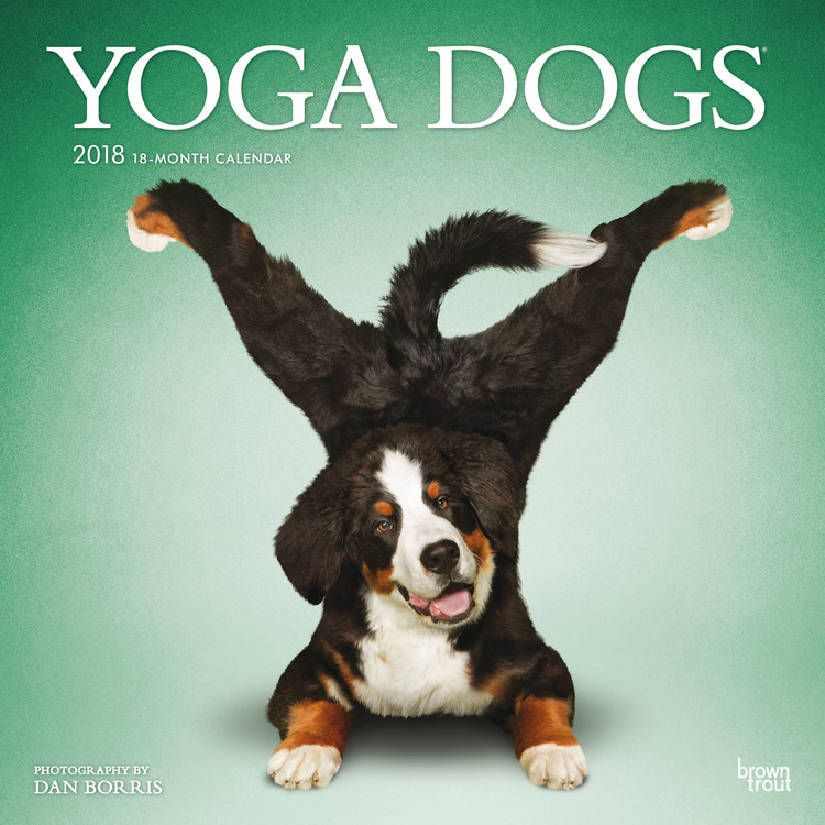 Calendario 2027 Yoga Dogs