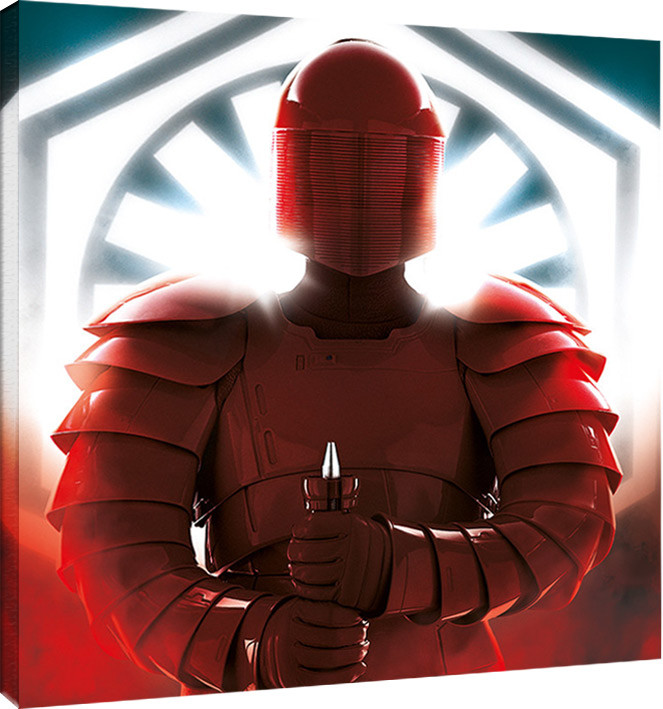 Obraz na płótnie Gwiezdne wojny: Ostatni Jedi - Elite Guard Defend