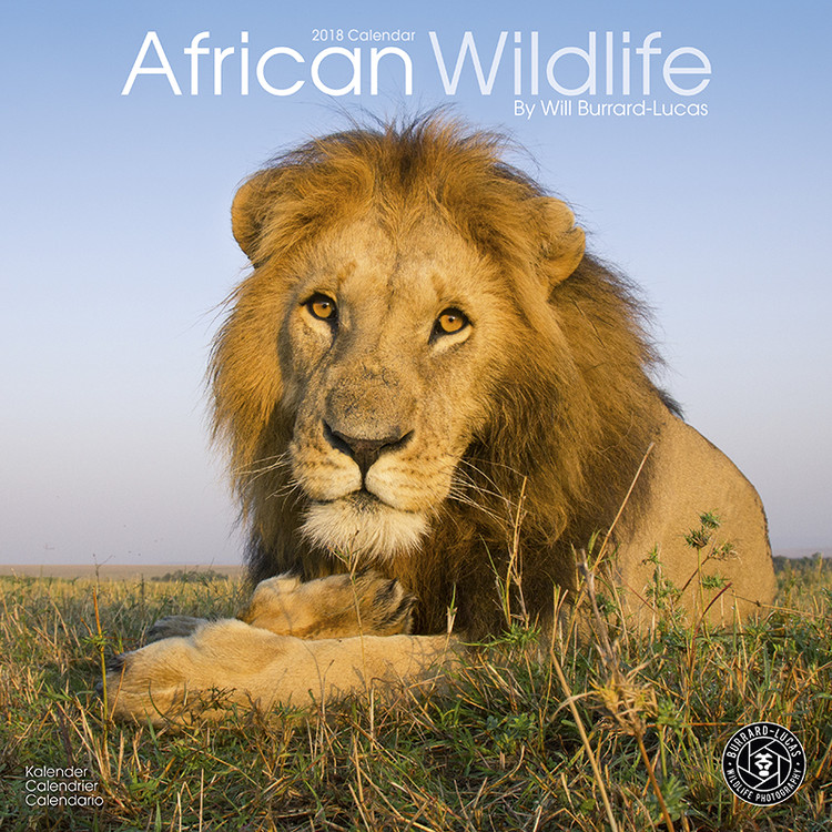 Calendario 2027 African Wildlife