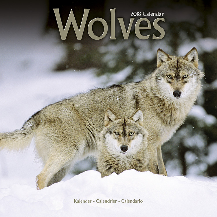 Kalender 2027 Wolves