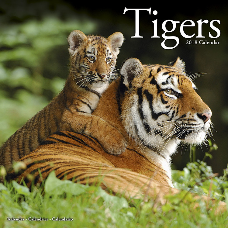 Calendario 2027 Tigers