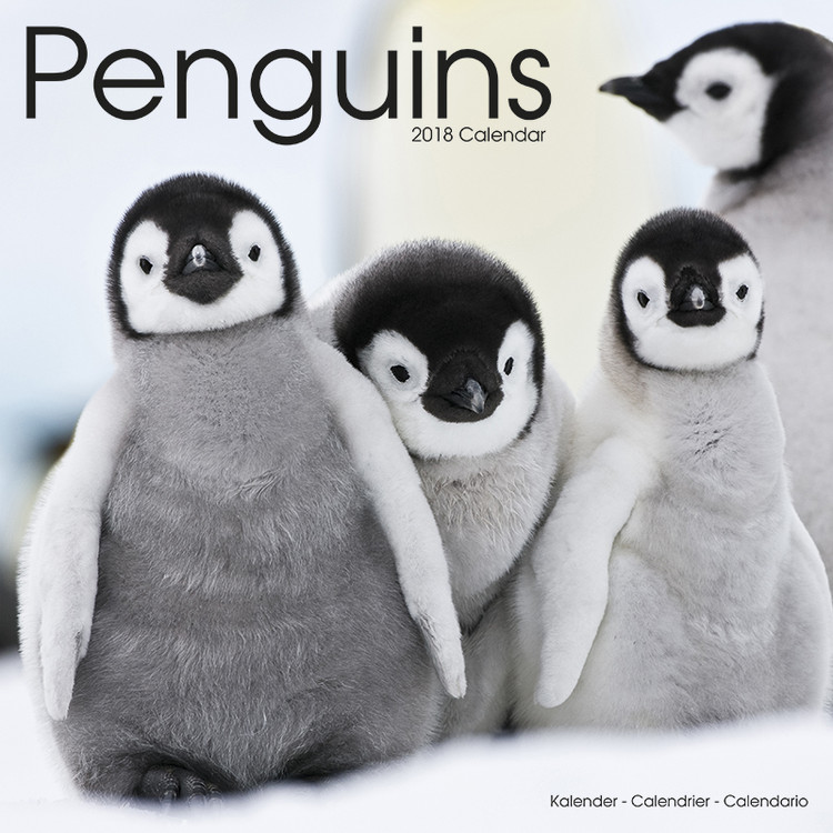 Calendario 2027 Penguins