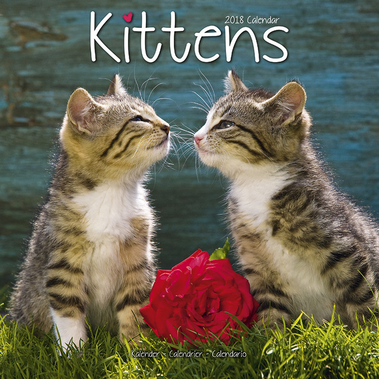 Kalender 2027 Kittens