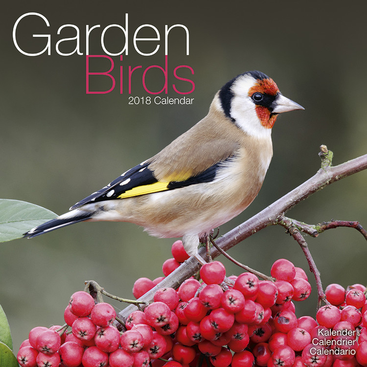 Kalender 2027 Garden Birds