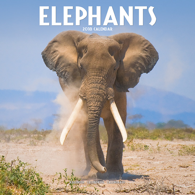 Kalender 2027 Elephants