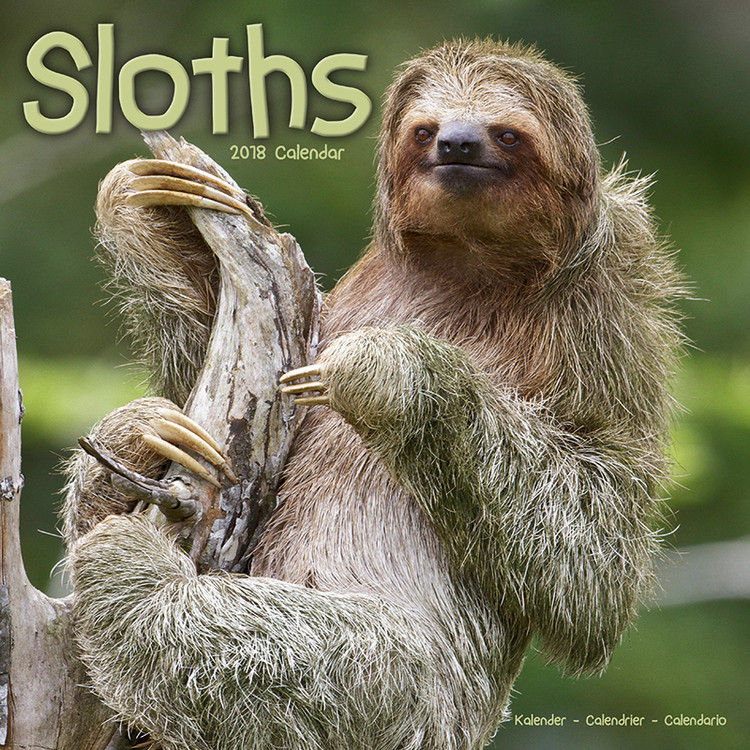 Kalender 2027 Sloths