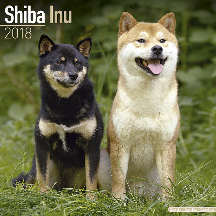 Calendario 2027 Shiba Inu