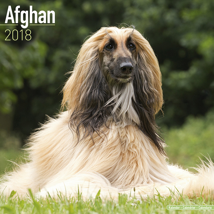 Naptár 2027 Afghan