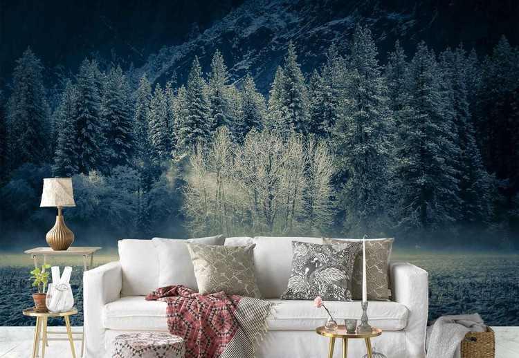 Fototapeta Aspen Grouping - Yosemite Valley