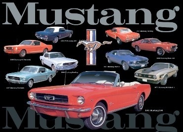 Metallschild MUSTANG COLLAGE