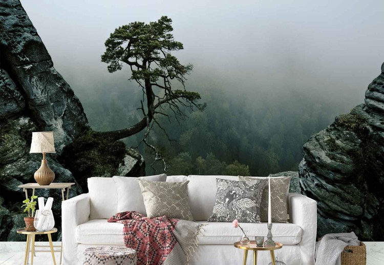 Fototapeta The Lonely Tree In The Cliff