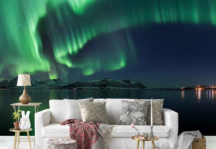 Wall Mural Magical Night