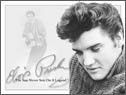 Metallschild ELVIS PRESLEY - guitar