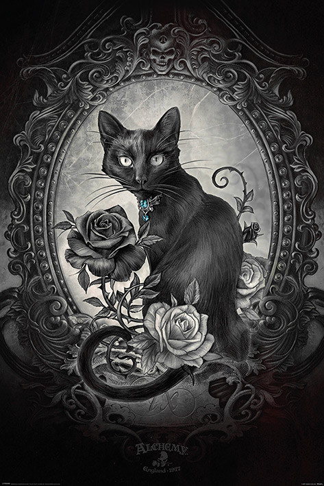Plakát Alchemy - Paracelcus