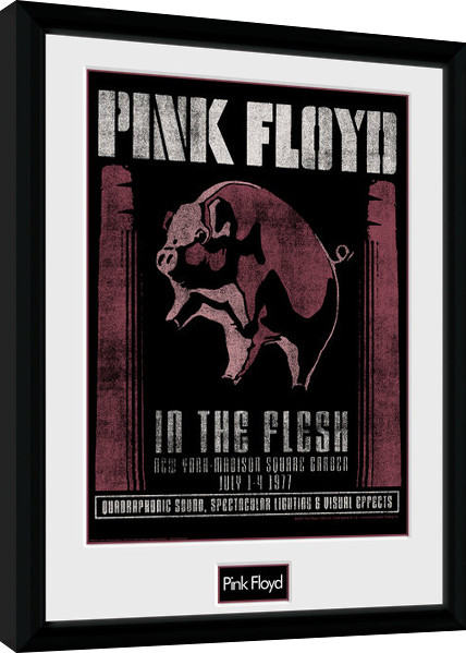 Poster encadré Pink Floyd - 1977