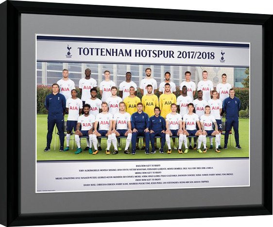 Rámovaný plakát Tottenham Hotspur - Team Photo 17/18