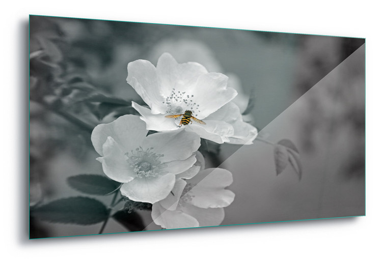 Skleněný Obraz Bee Blossom