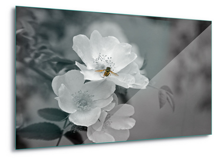Skleněný Obraz Bee Blossom