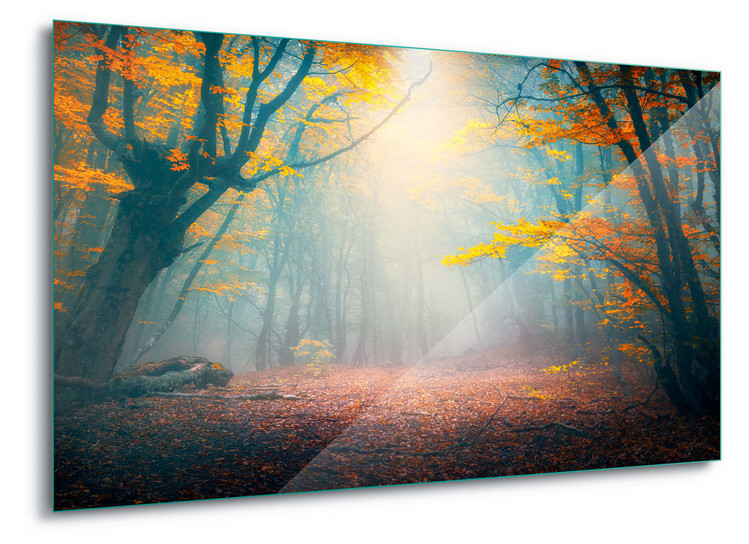 Skleněný Obraz The Enchanted Forest