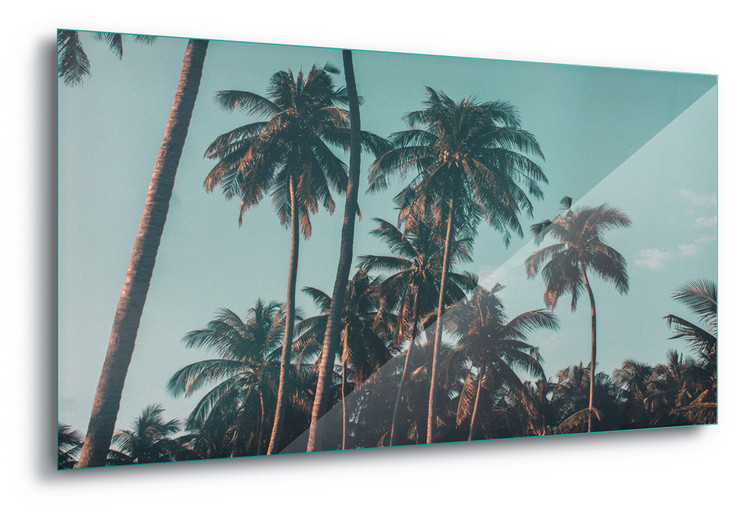 Skleněný Obraz Retro Palms