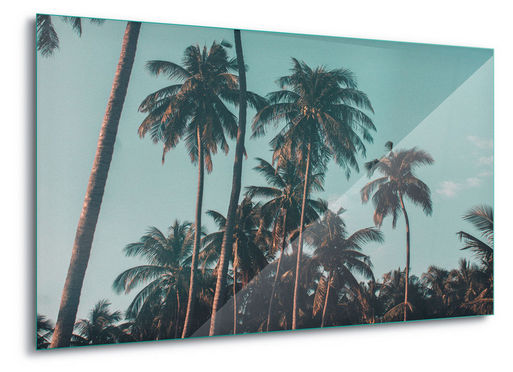 Skleněný Obraz Retro Palms