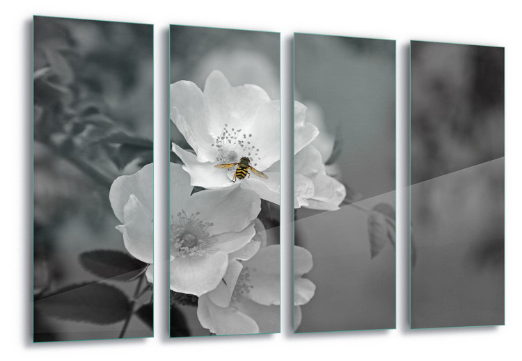 Skleněný Obraz Bee Blossom
