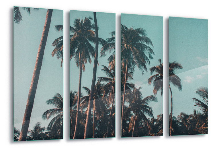Skleněný Obraz Retro Palms