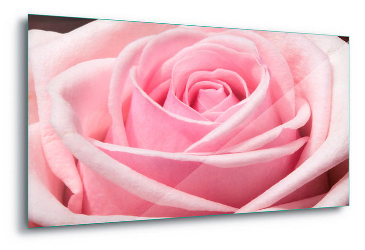 Skleněný Obraz The Sensual Rose