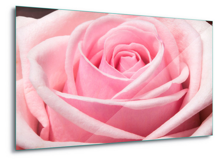 Skleněný Obraz The Sensual Rose