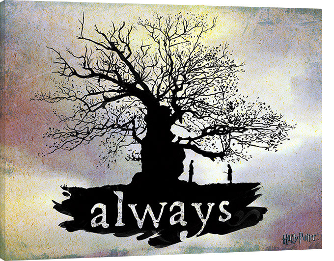 Bild auf Leinwand Harry Potter - Always