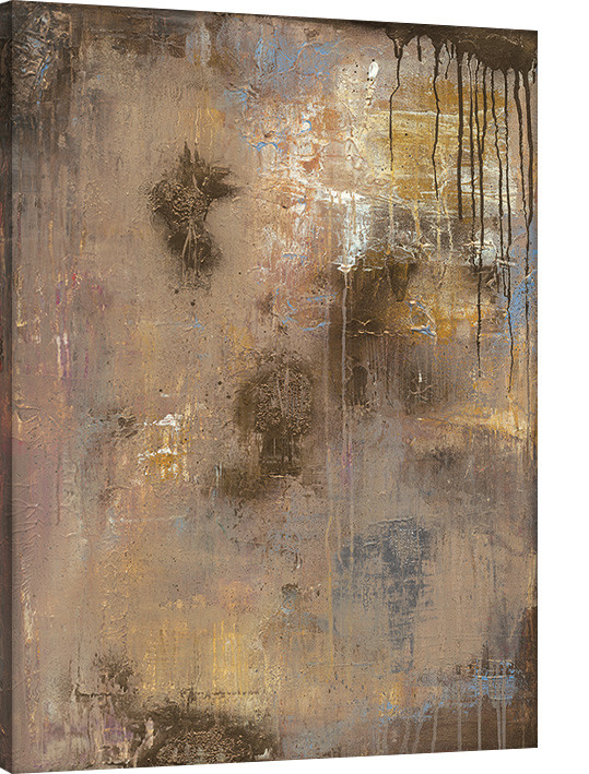 Obraz na plátně Soozy Barker - Gold Reflections