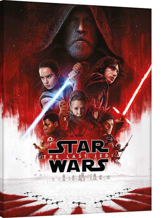 Obraz na plátne Star Wars: Poslední Jediovia - Many Porgs