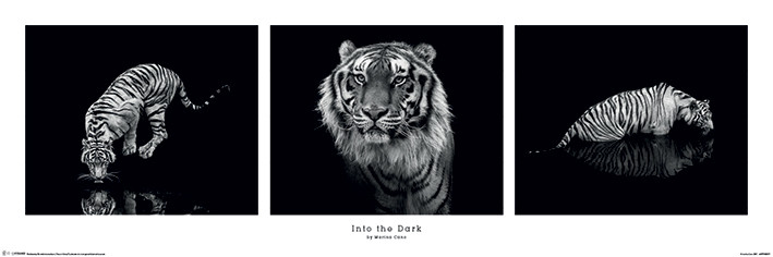 Poster Marina Cano - Into the Dark