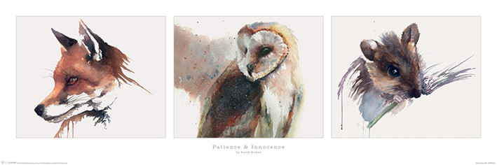 Plakát Sarah Stokes - Patience & Innocence
