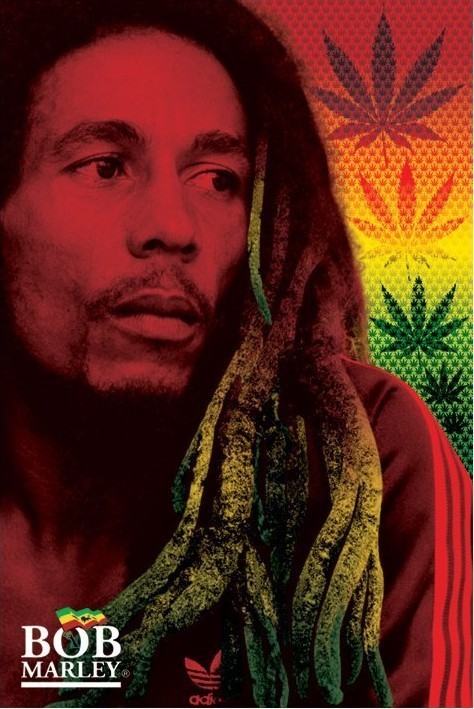 Poster Bob Marley - dreads