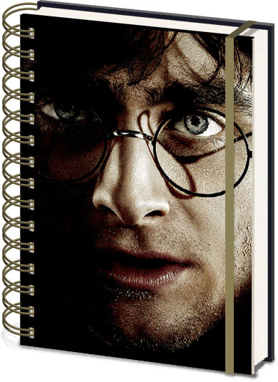 Quaderno Harry Potter - Harry Voldemort 3D Cover