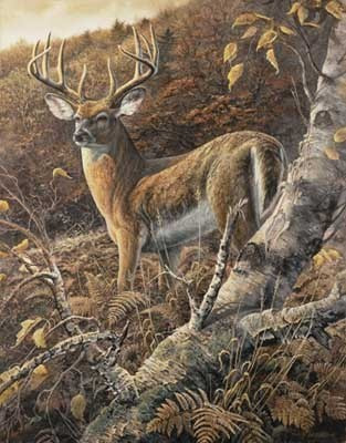 Umělecký tisk DUKE OF AUTUMN