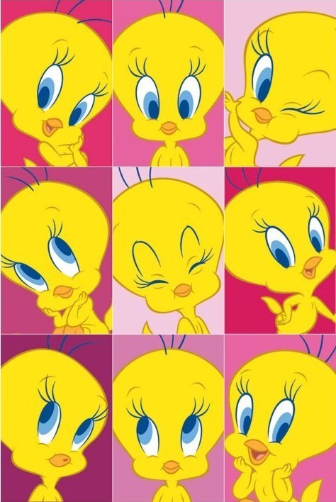 Poster TWEETY - caras