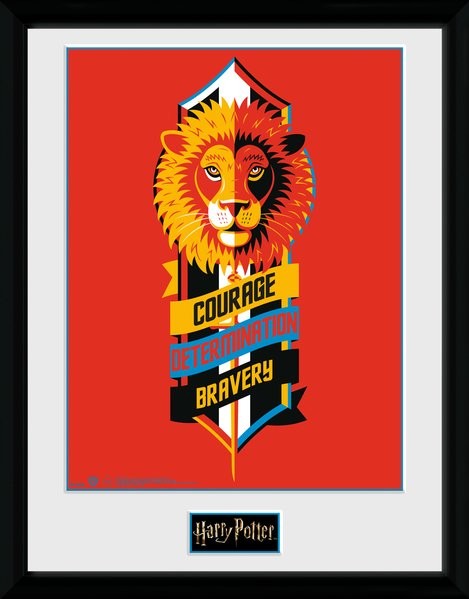 Framed Poster Harry Potter - Courage
