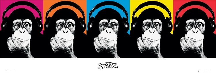 Plakát Steez - monkey