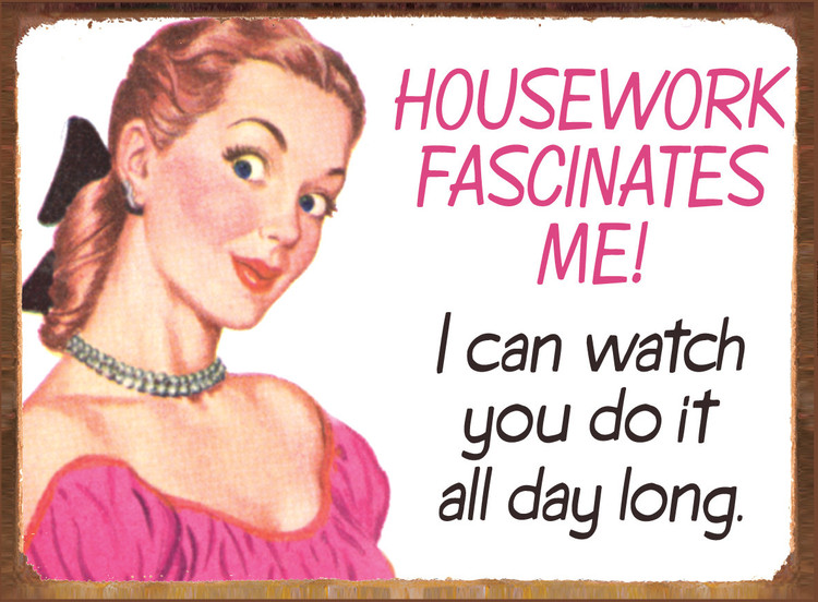 Metallschild HOUSEWORK FASCINATES ME