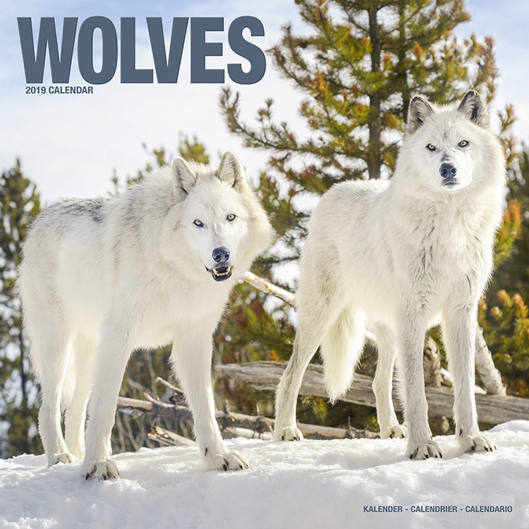 Naptár 2027 Wolves
