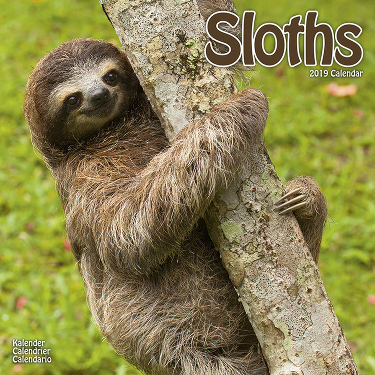 Kalendarz 2027 Sloths