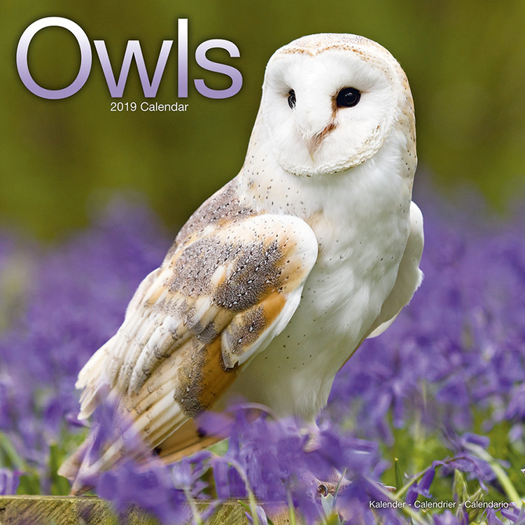 Kalender 2027 Owls