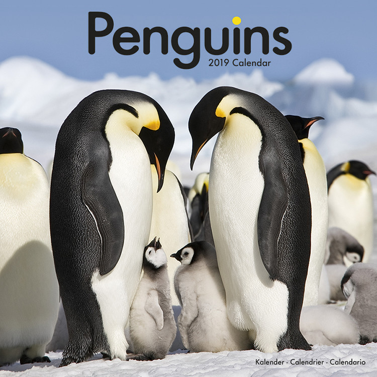 Kalender 2027 Penguins