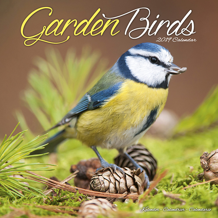 Kalender 2027 Garden Birds