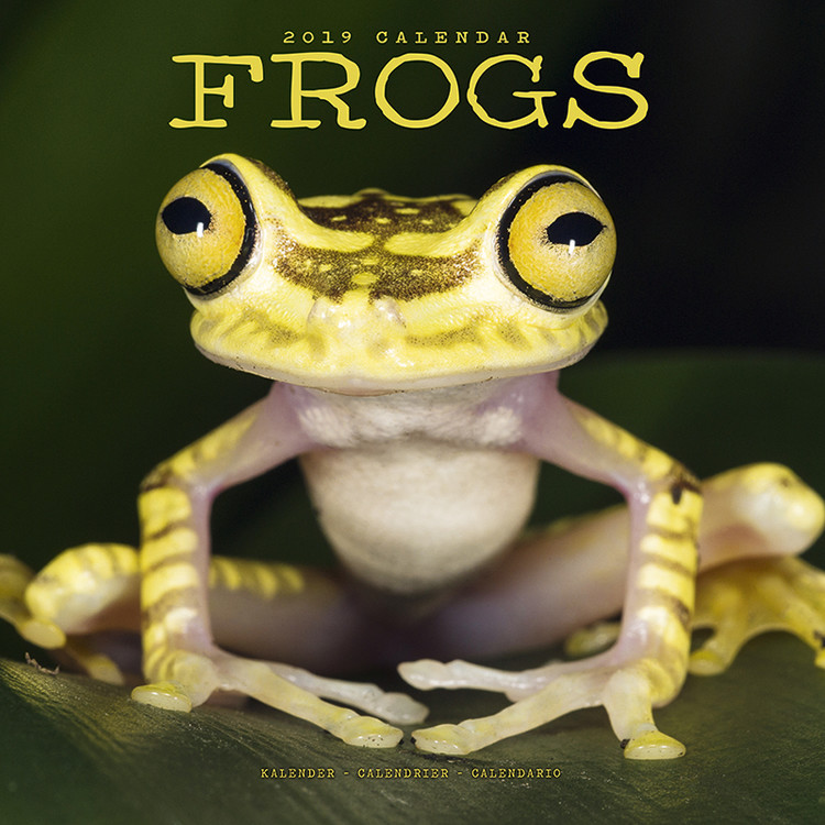 Calendrier 2027 Frogs