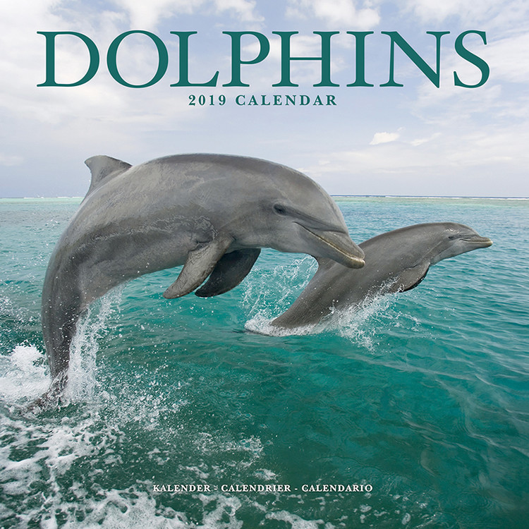 Kalender 2027 Dolphins