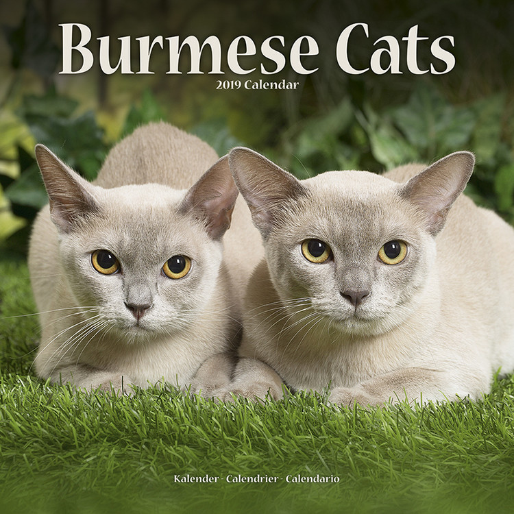 Naptár 2027 Burmese